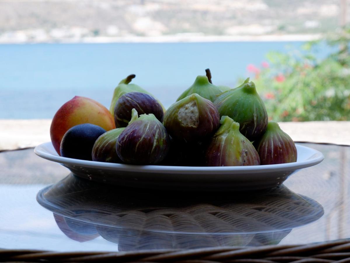 Mani Home Neo Oitilo Bagian luar foto
